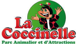 La coccinelle